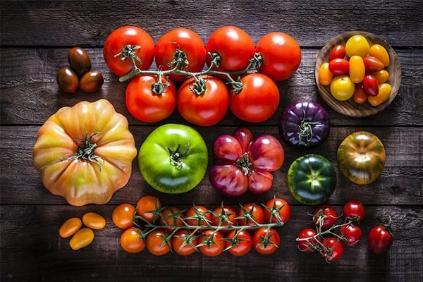 les tomates pour la ratatouille