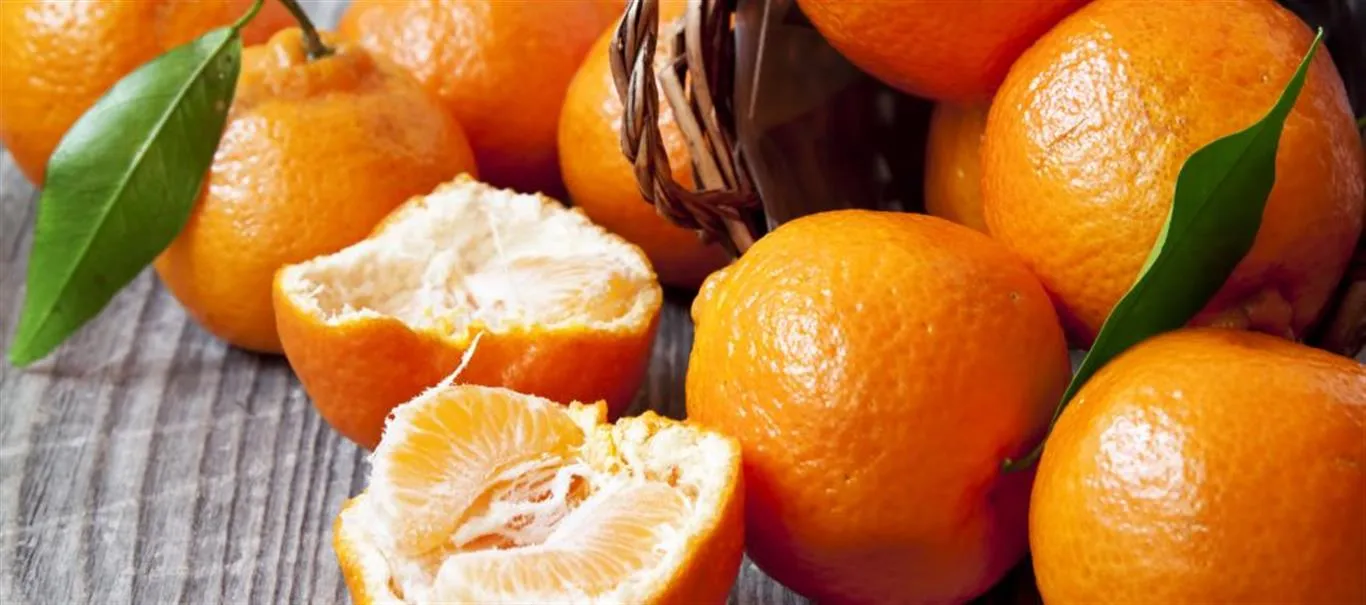 les oranges amère ou bigaradier