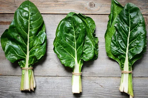 les blettes du jardin