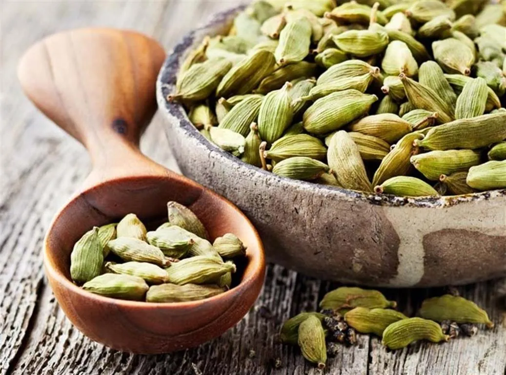 la graine de cardamome verte