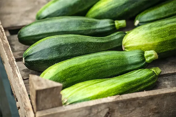 les savoureuses courgettes longues