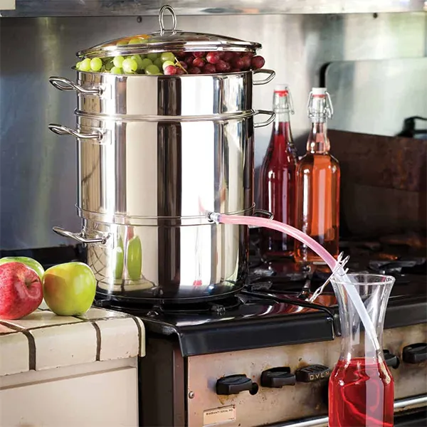 extracteur de jus vapeur
