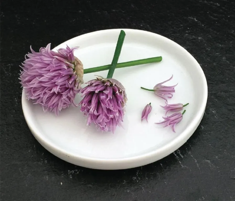 Fleurs de ciboulette