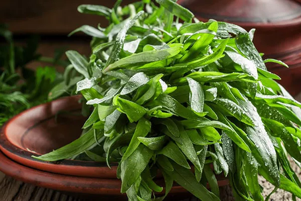 l'estragon fraicheur acidulée