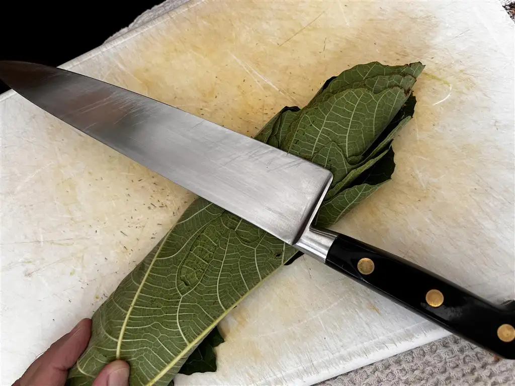 rouler les feuilles de figuier avant découpe