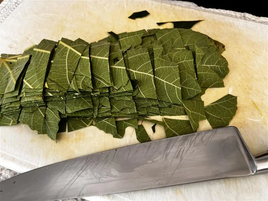 Hachage grossier des feuilles de figuier