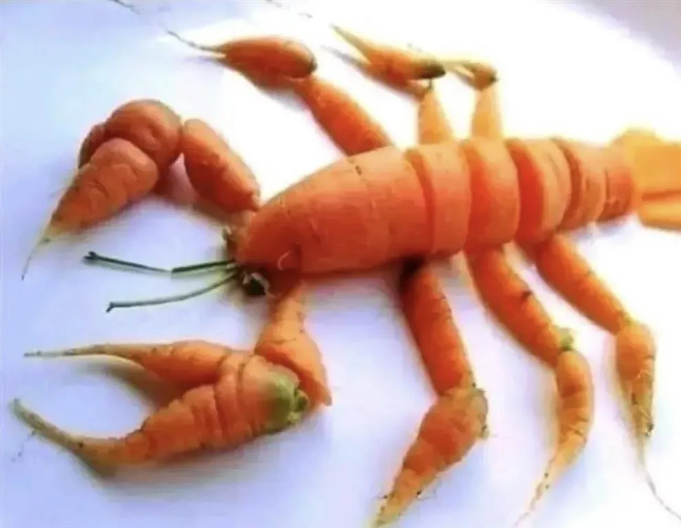 homard petit budget