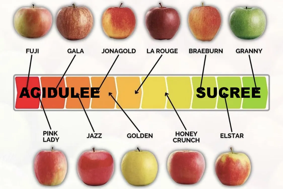 les variété de pommes pour la tourte aux blettes