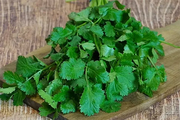 le persil plat