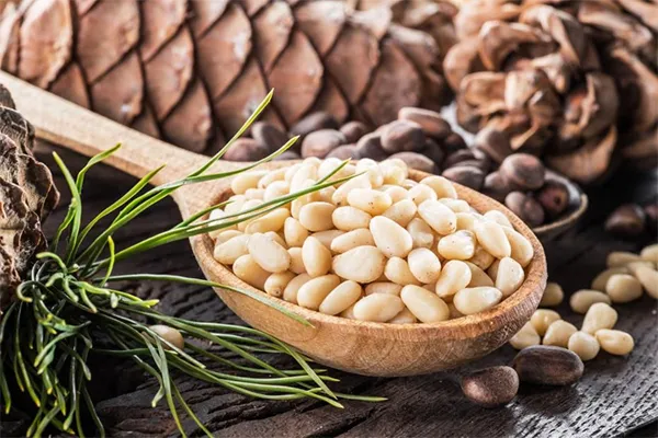 les savoureux pignons de pins