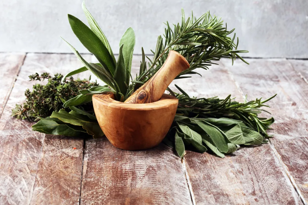 le pilon en bois d'olivier