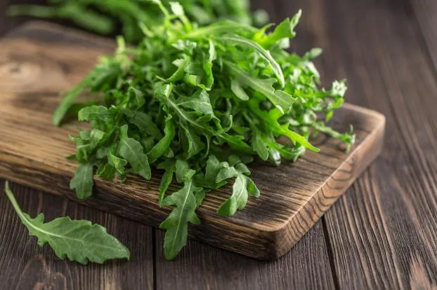 La roquette - indispensable dans une salade d'été en provence