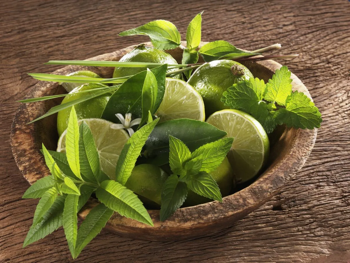 La verveine fraiche - une merveille
